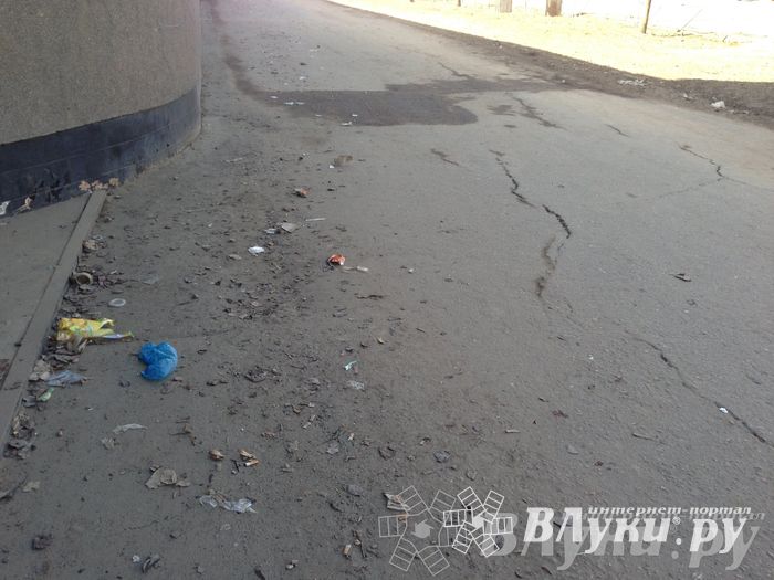 Весне дорогу!