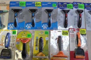 1 марта - ваш кот заслуживает подарок