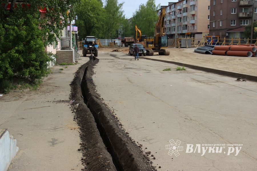 На площади Калинина убирают лишние деревья (ФОТО)