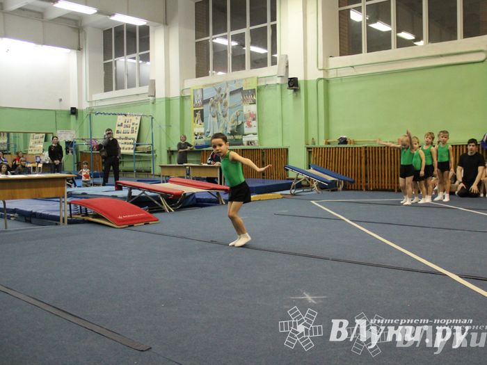 В Великих Луках состоялось Первенство по командной гимнастике (фото)
