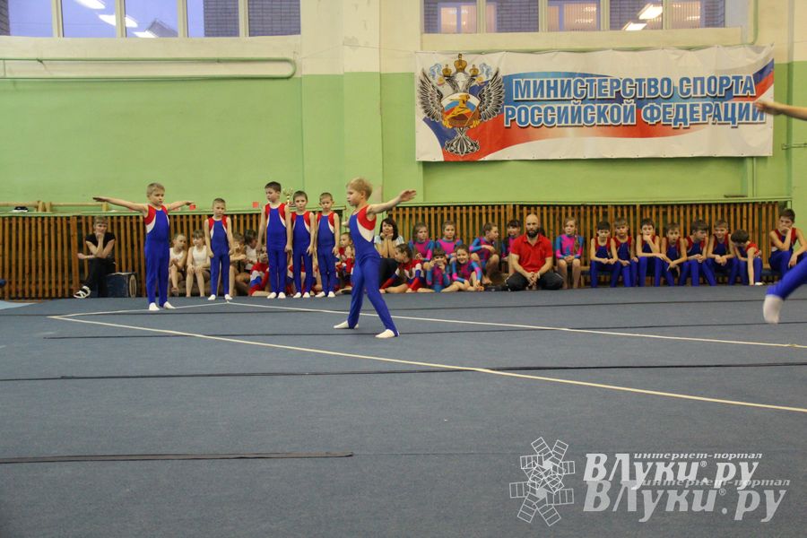 В Великих Луках состоялось Первенство по командной гимнастике (фото)