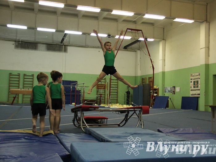 В Великих Луках состоялось Первенство по командной гимнастике (фото)