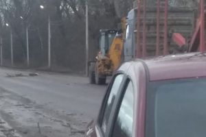 В Великих Луках от упавшего дерева пострадал мужчина (ФОТО)