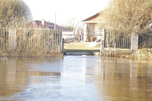В Великих Луках продолжаются поиски мужчины, пропавшего 9 марта (ФОТО)