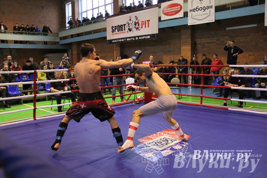 В Великих Луках прошел межрегиональный Открытый Кубок по смешанному боевому единоборству (фото)
