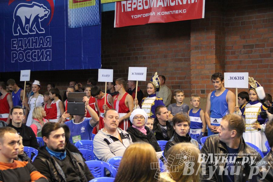 Открытие 16-го  Международного турнира по боксу