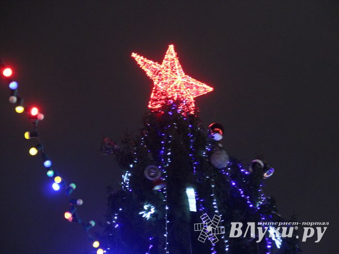 В Великих Луках зажглась новогодная ёлка (ФОТО)