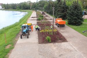 В Великих Луках сажают, стригут и красят (ФОТО)