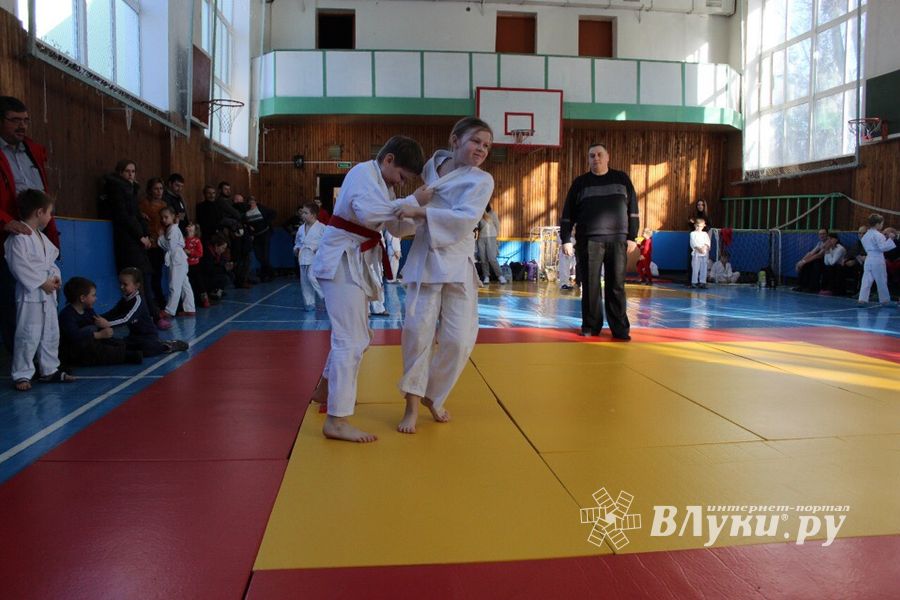 Юные великолучане приняли участие в турнире по дзюдо «Крепыш» (ФОТО)