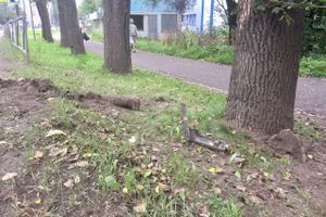 ДТП на пр-те Гагарина в Великих Луках (ФОТО)