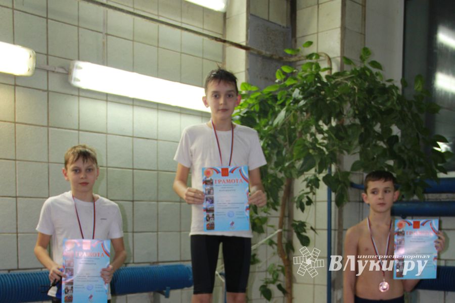 В Великих Луках прошло Первенство по плаванию (фото)