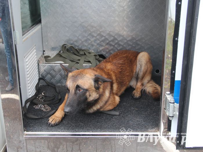 Великолукских школьников познакомили со спасательной техникой (ФОТО)