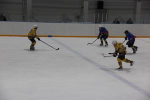 Великолучане одержали победу над псковским «Беркутом» (ФОТО)