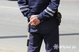 Фото: ВЛуки.ру