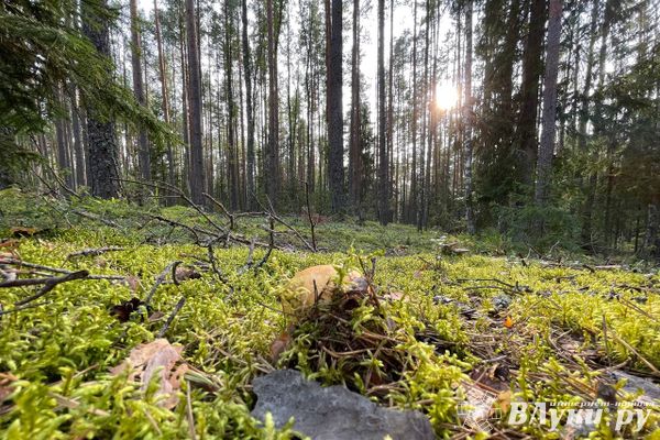 Осень подождёт!