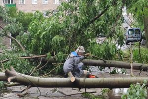 Весь ужас вчерашнего урагана в Великих Луках и районе (ФОТО, ВИДЕО)