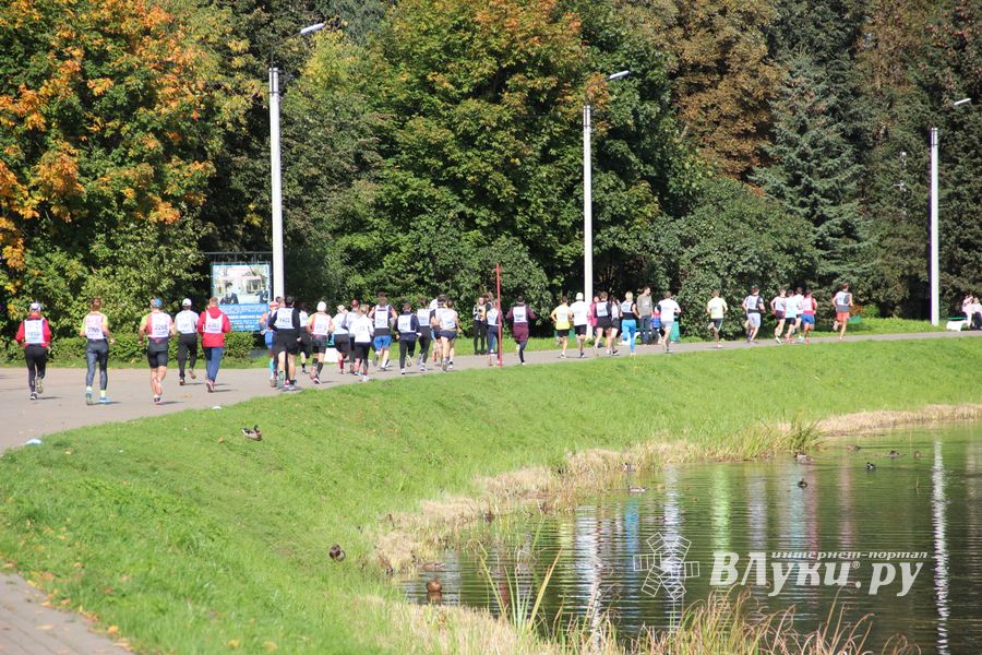 «Кросс Нации-2020» прошёл в Великих Луках (ФОТО)