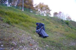 «Чисто не там, где убирают, а там где не сорят!» (фото)