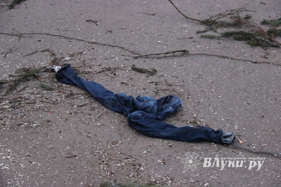 Необычное украшение сняли с главной ёлки Великих Лук (ФОТО)