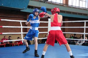 В Великих Луках прошел турнир по боксу памяти Е. Клевцова (ФОТО)