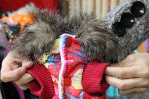 «Zooбастики»: подарите праздник своим любимцам! (ФОТО+ВИДЕО)