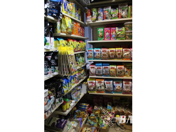 «Zooбастики»: подарите праздник своим любимцам! (ФОТО+ВИДЕО)