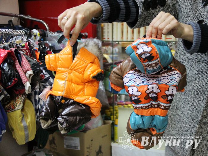 «Zooбастики»: подарите праздник своим любимцам! (ФОТО+ВИДЕО)