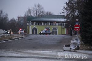 В Великих Луках установили новогоднюю елку (фото)