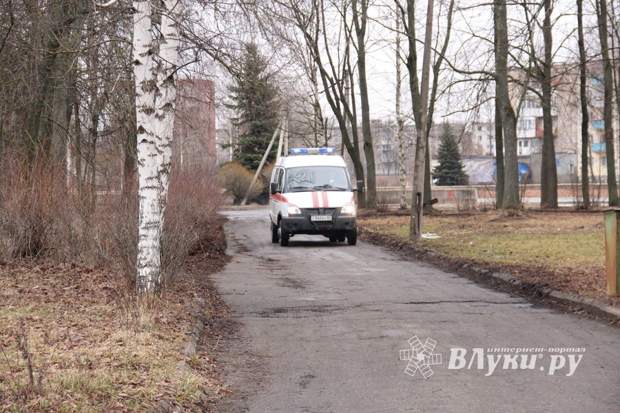 В Великих Луках в Парке культуры и отдыха полным ходом идёт подготовка празднования Масленицы (фото)