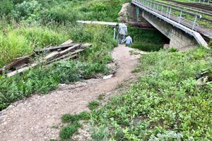 Великолучанка собралась жаловаться Путину на опасный Лазавицкий переезд (ФОТО)