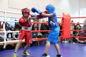 В Великих Луках завершились соревнования по боксу (ФОТО)