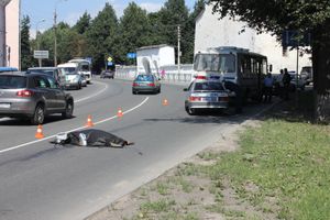 Автобус сбил насмерть пожилую женщину в Пскове (фото)