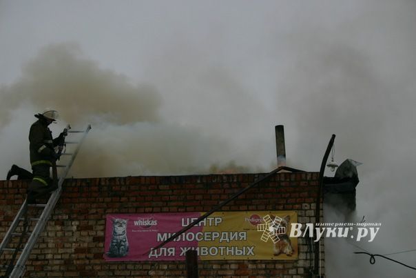 Неисправная печь в приюте для животных спровоцировала пожар