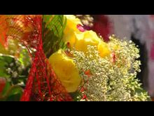 Импульс-ТВ: Учительница французского