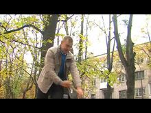 Импульс-ТВ:  Субботник в парке Пушкина