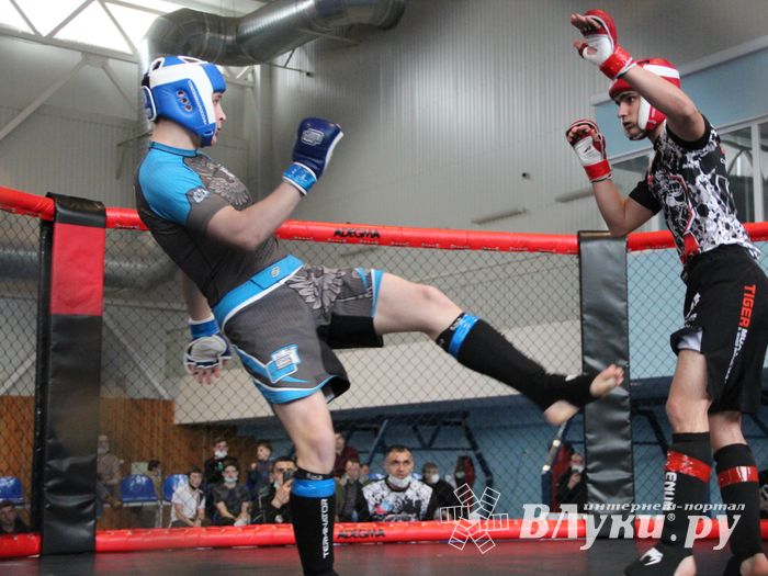 В Великих Луках прошел кубок по смешанному боевому единоборству (ФОТО)