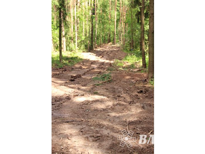 Строительство велоцентра в Великих Луках: склад, спортплощадки, велодорожки и земляника (ФОТО)