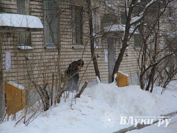 Смелые люди на крах Великих Лук