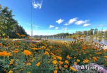 Прогноз погоды на 24 сентября в Великих Луках