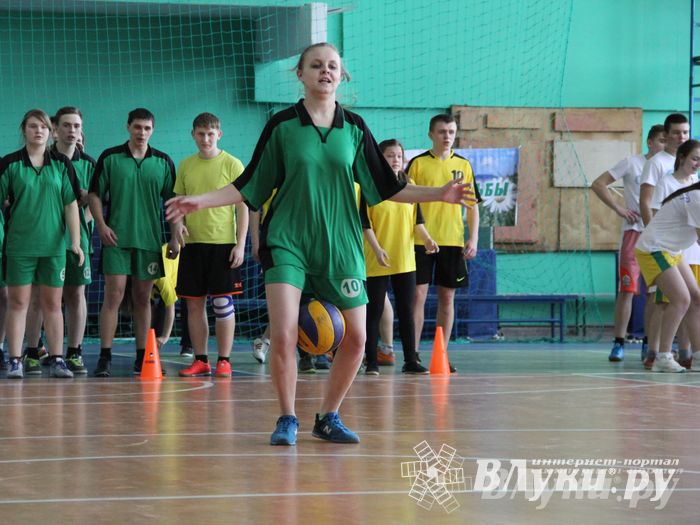 В Великих Луках прошли соревнования на Кубок Красного Креста