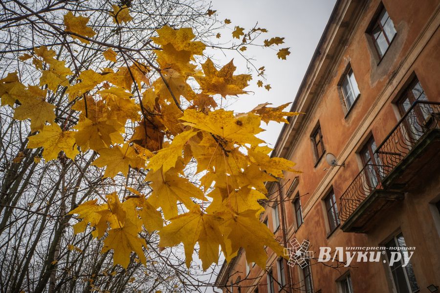 © ВЛуки.ру
