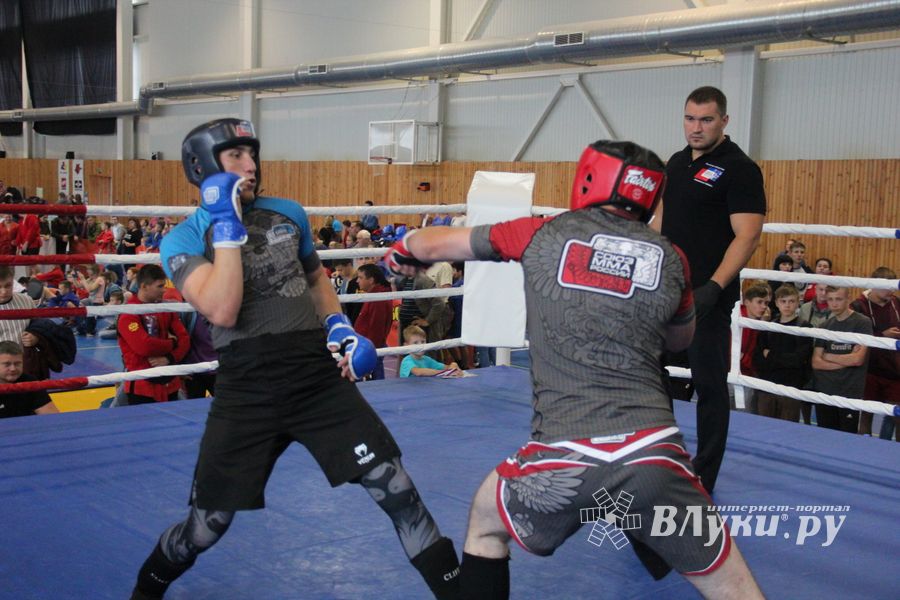 1-й Фестиваль боевых искусств состоялся в Великих Луках  (ФОТО)