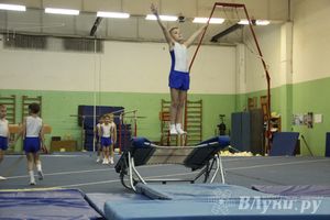 В Великих Луках состоялось Первенство по командной гимнастике (фото)