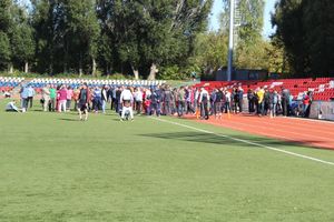 В Великих Луках прошел фестиваль ГТО