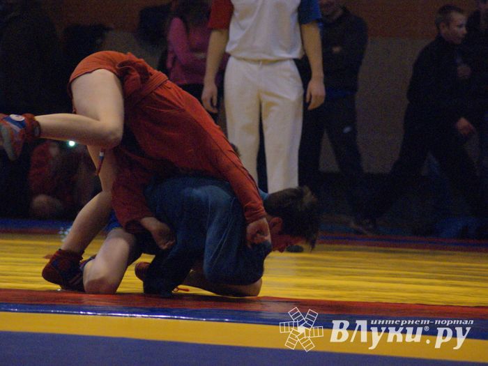 Великолучане завоевали призовые места на турнире по самбо «Память» (ФОТО)