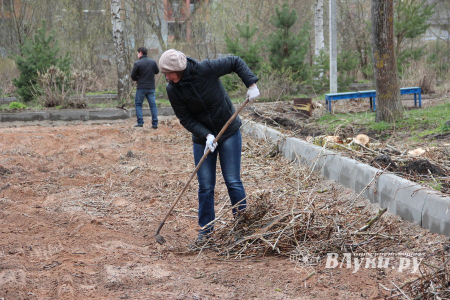 На острове Дятлинка проходит субботник