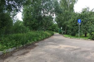 Необитаемый остров Дятлинка (ФОТО)