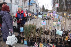 В Великих Луках прошла универсальная ярмарка «Весна-2019» (ФОТО)