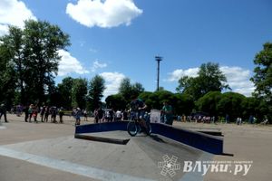 В Великих Луках прошел Всероссийский олимпийский день (фото)