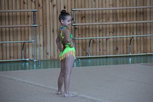 В Великих Луках прошло ​Открытое первенство города по художественной гимнастике (фото)